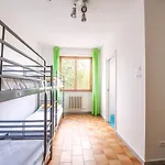 Safestay Pise